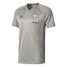 Juventus FC formation jersey gris 2016/17 Adidas